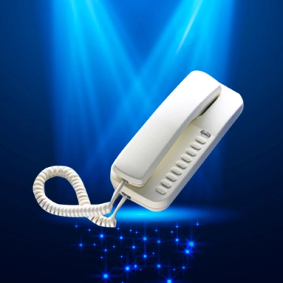 型號(Model)：INTP-S601